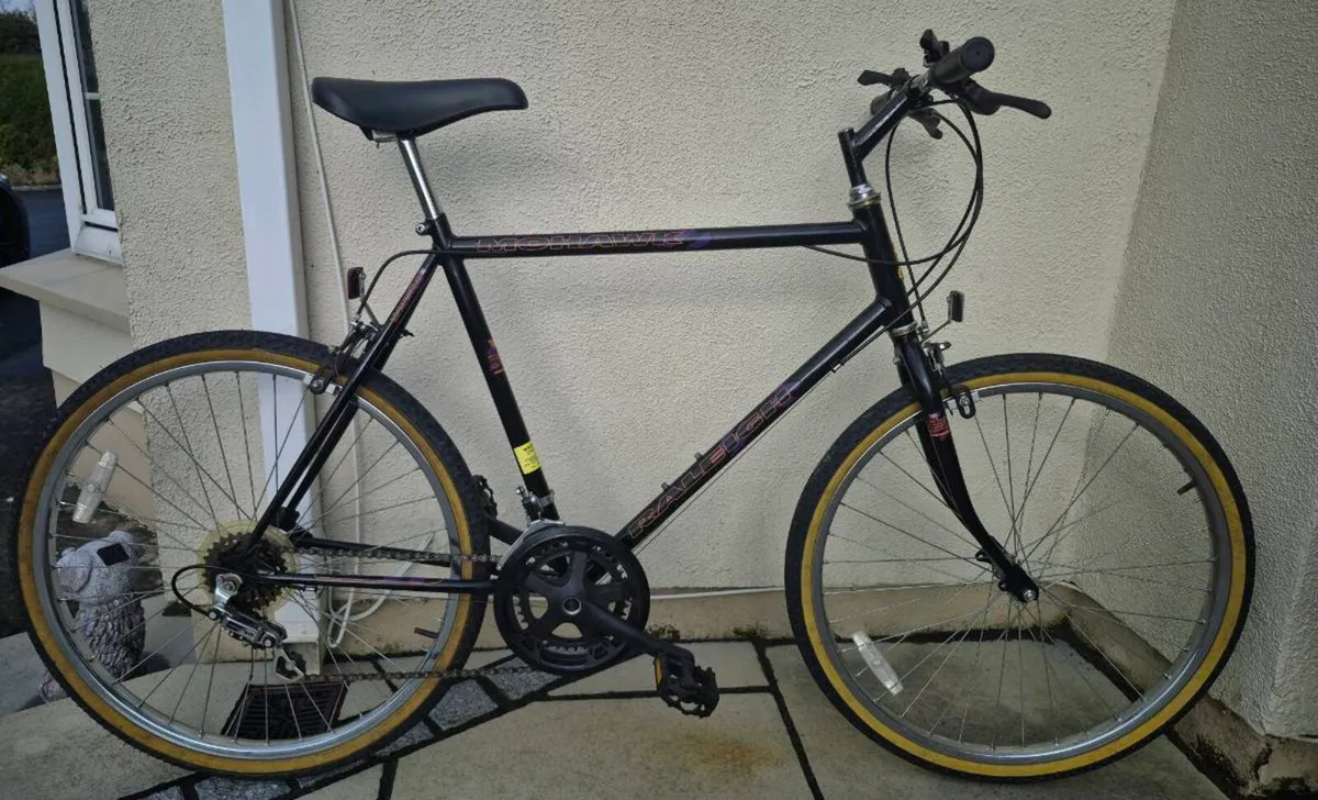 Raleigh 10 Speed Mountain Bike - Image 2
