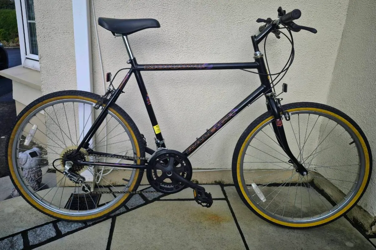 Raleigh 10 Speed Mountain Bike - Image 1