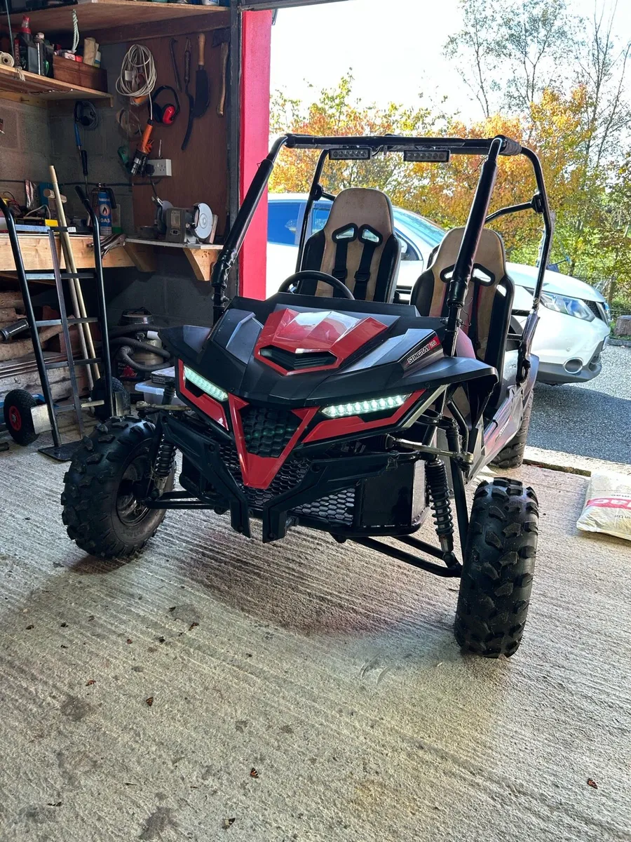 Quadzilla Stingray 210 kids buggy - Image 1