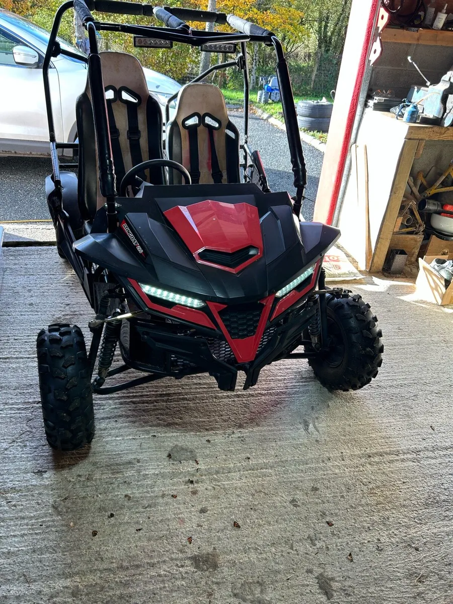 Quadzilla Stingray 210 kids buggy - Image 2