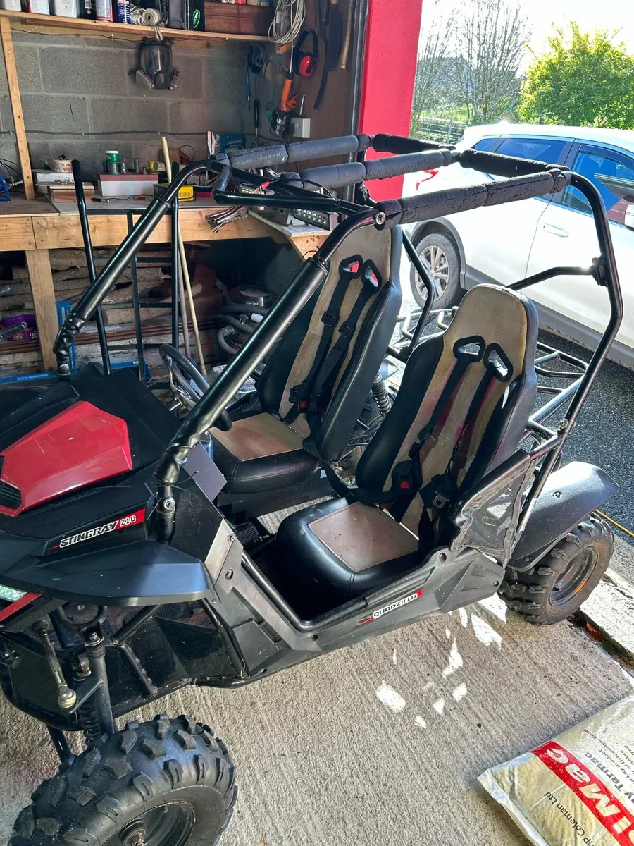 Quadzilla Stingray 210 kids buggy - Image 3