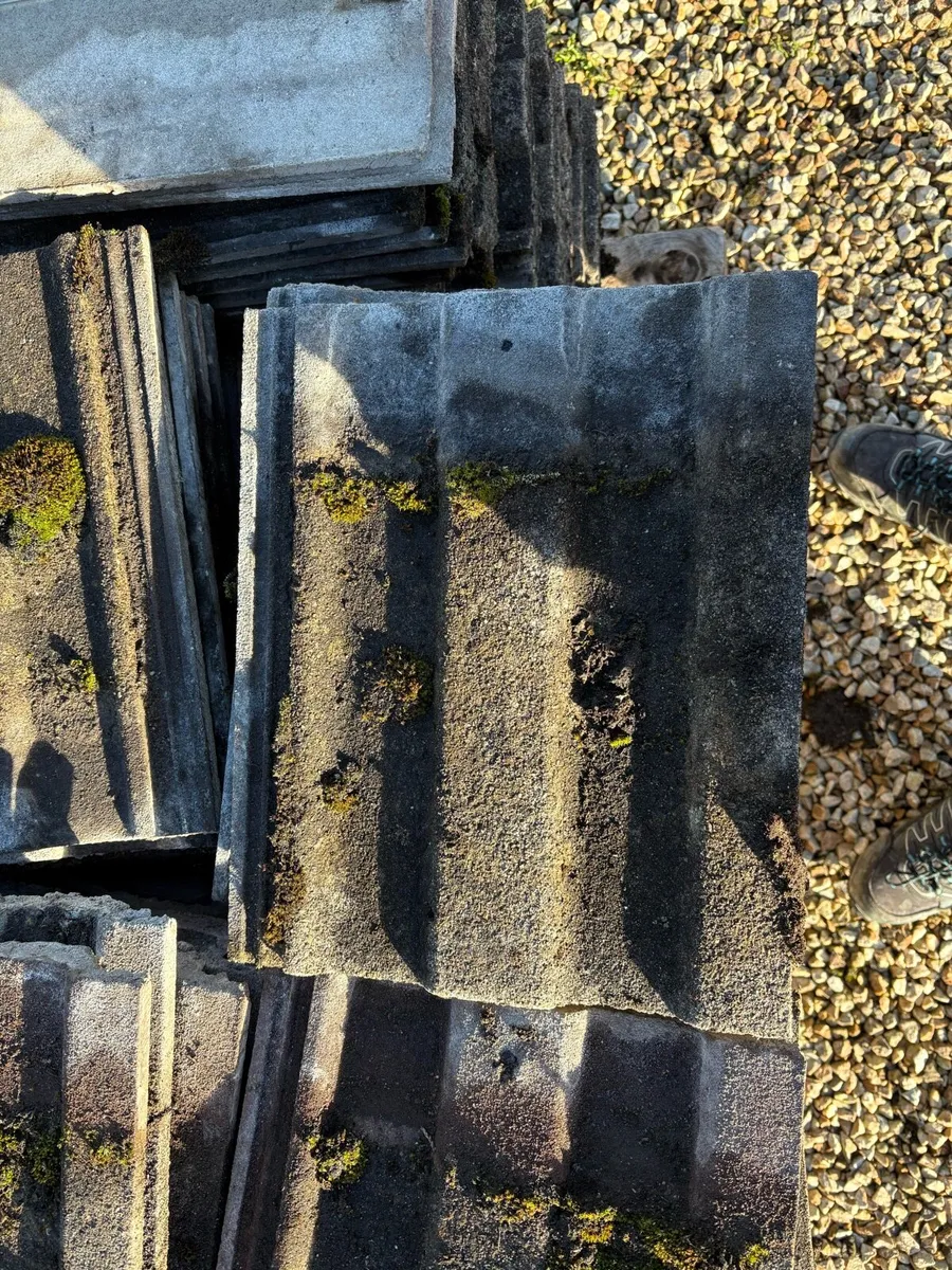 Roof tiles - Image 3