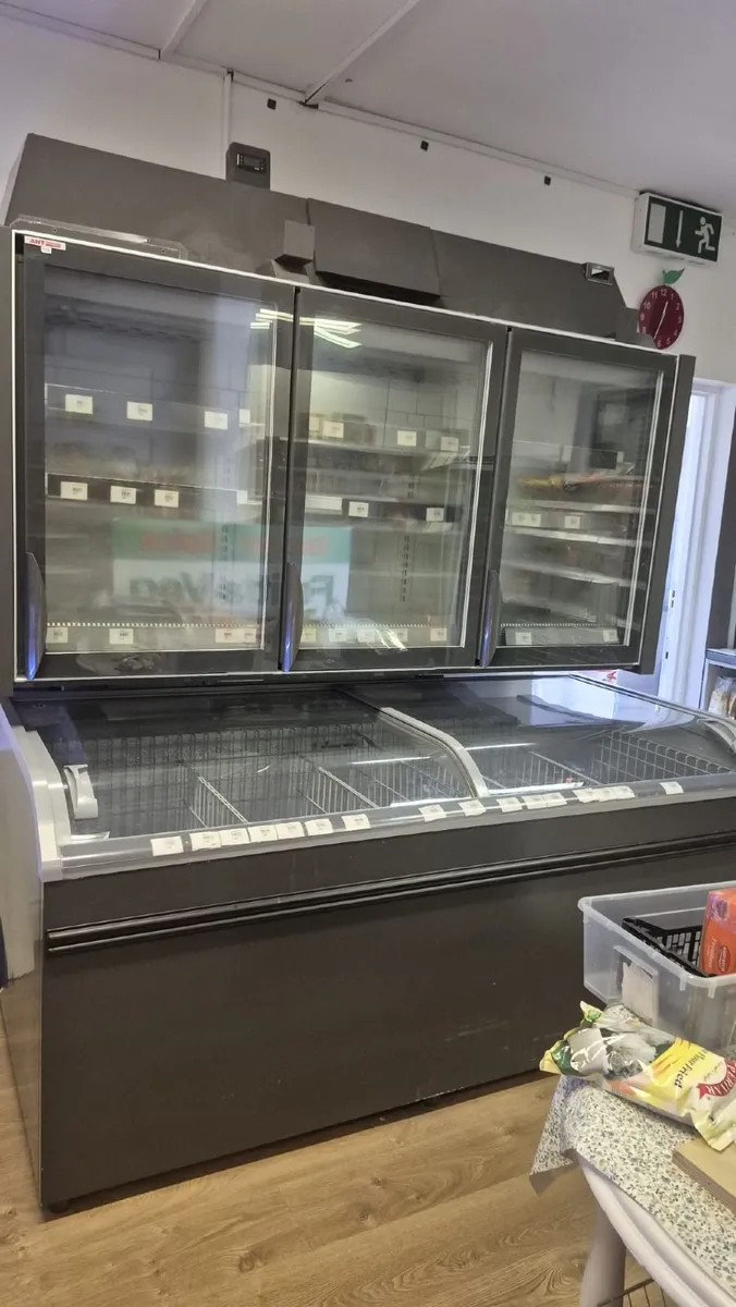 Frezzer display unit / on wheels delivered - Image 1