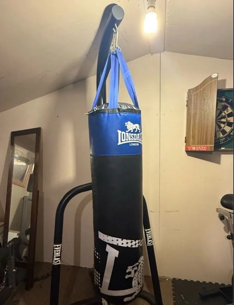 Gym Punch Bag and Stand - Image 1