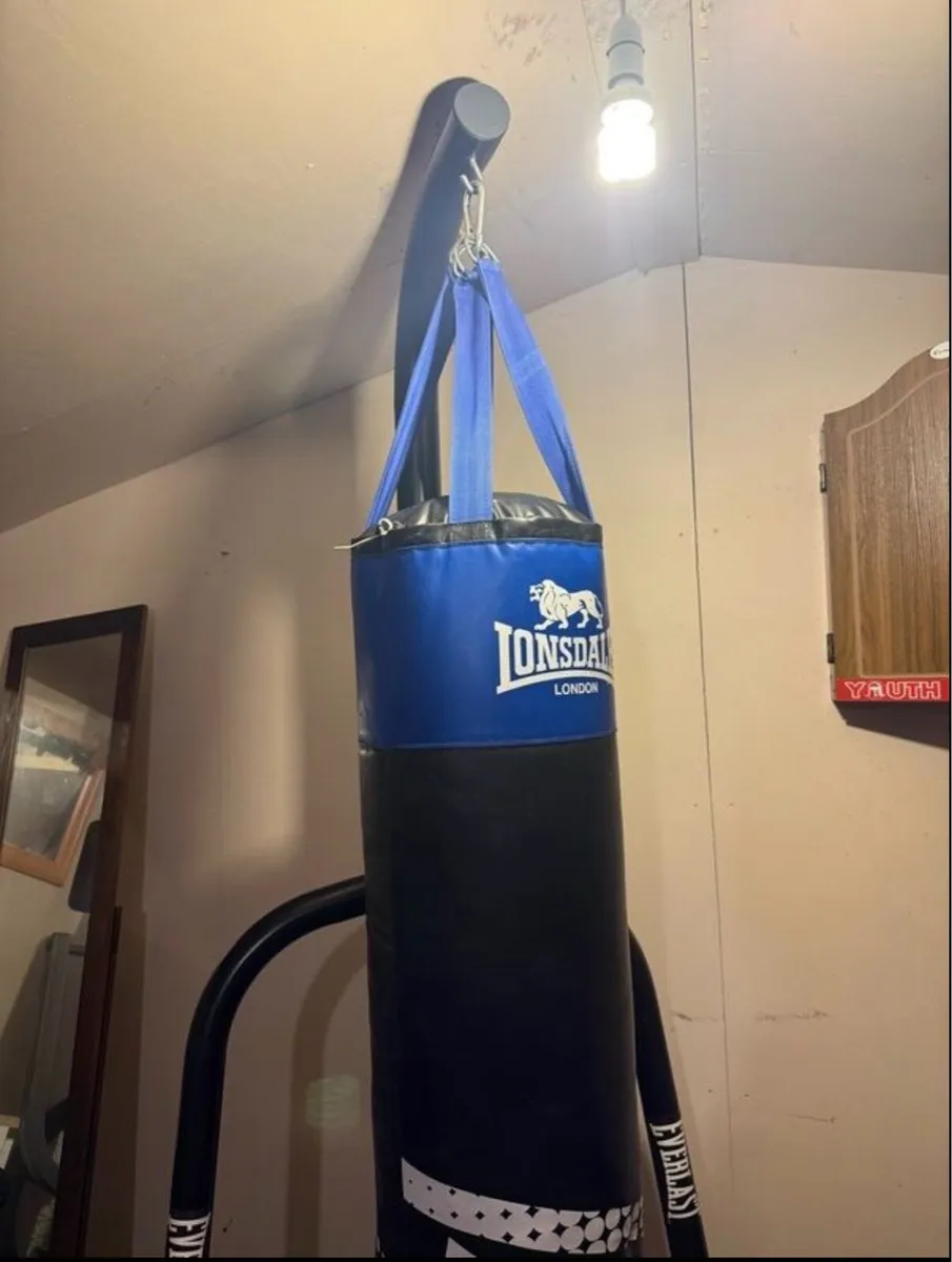 Gym Punch Bag and Stand - Image 2
