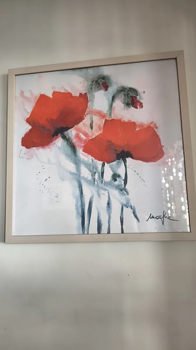 XXL  large - Image 3