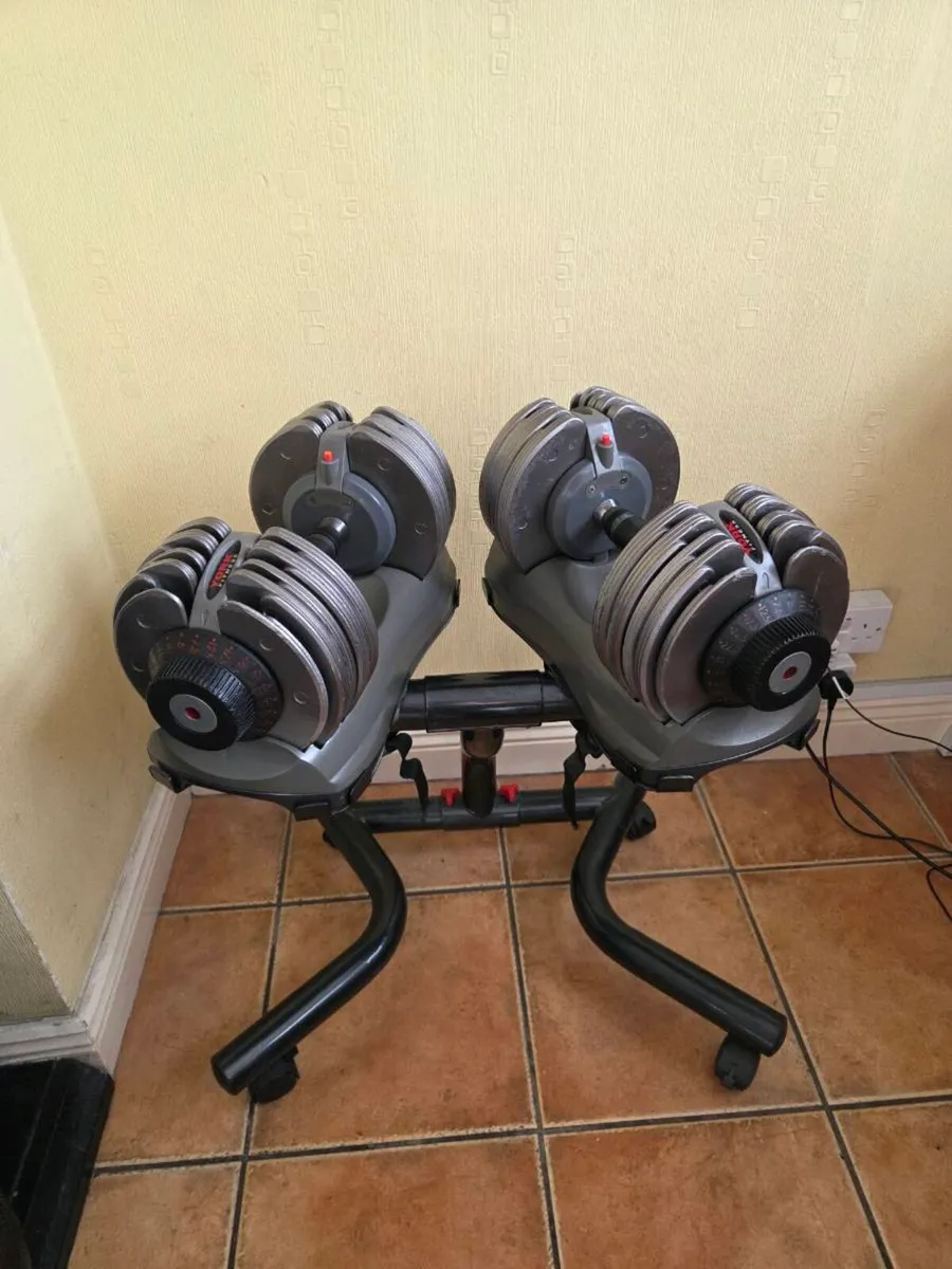 32.5kg Adjustable Dumbbells with Stand - Image 1