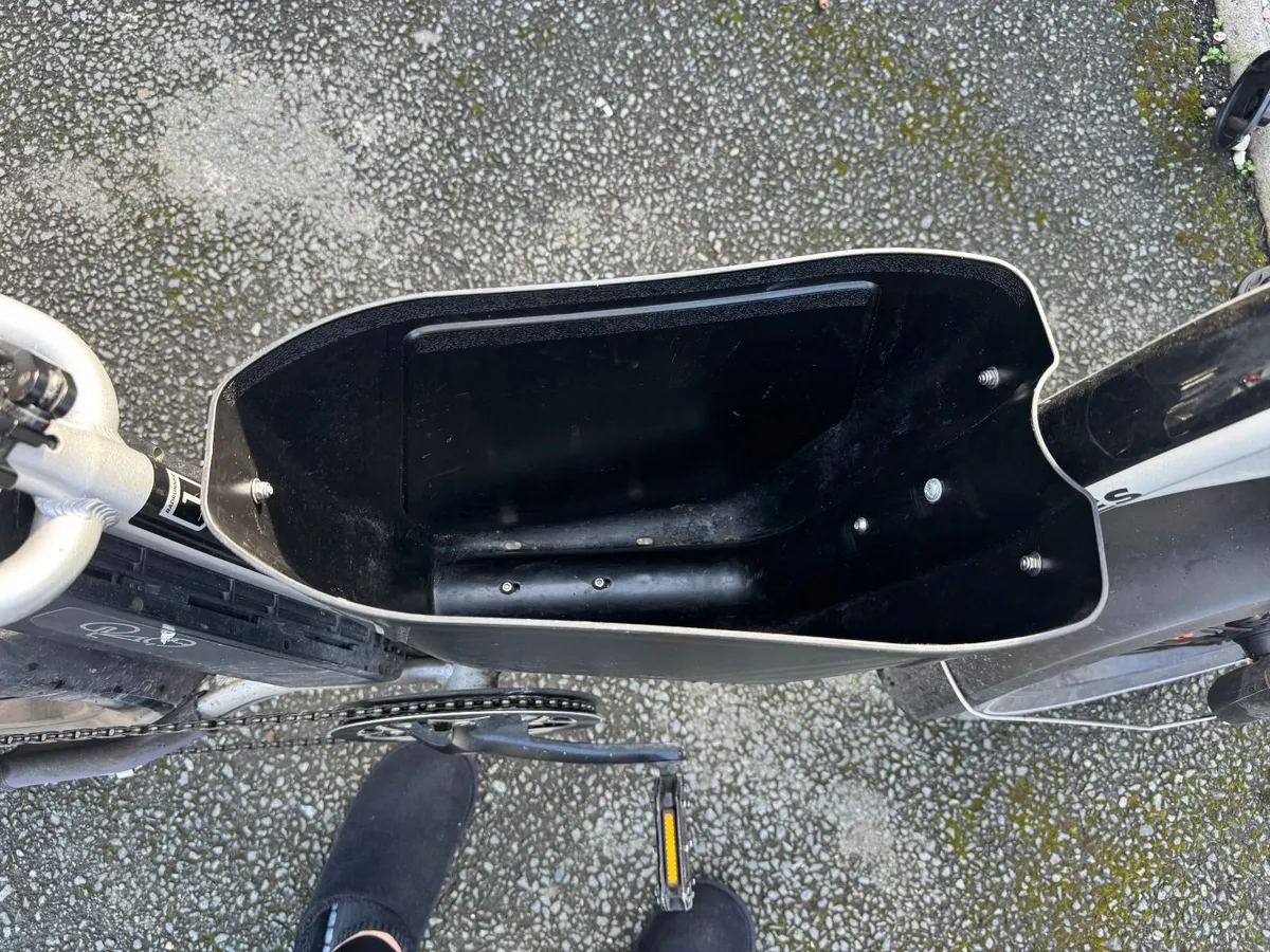 Radrunner cargo ebike - Image 4