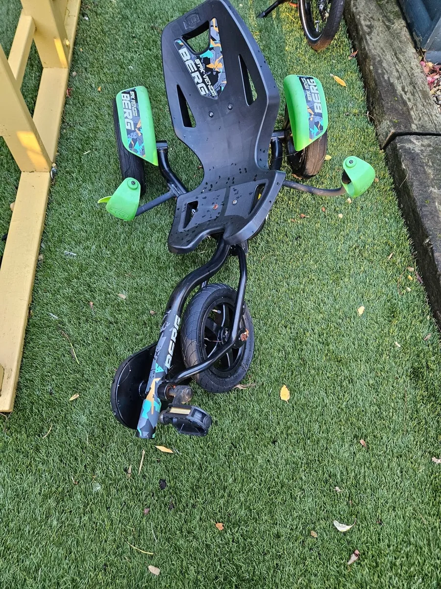 Berg venom go kart