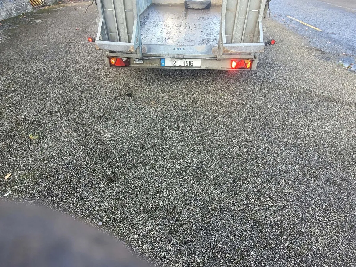 12x6 dale kane plant trailer - Image 3