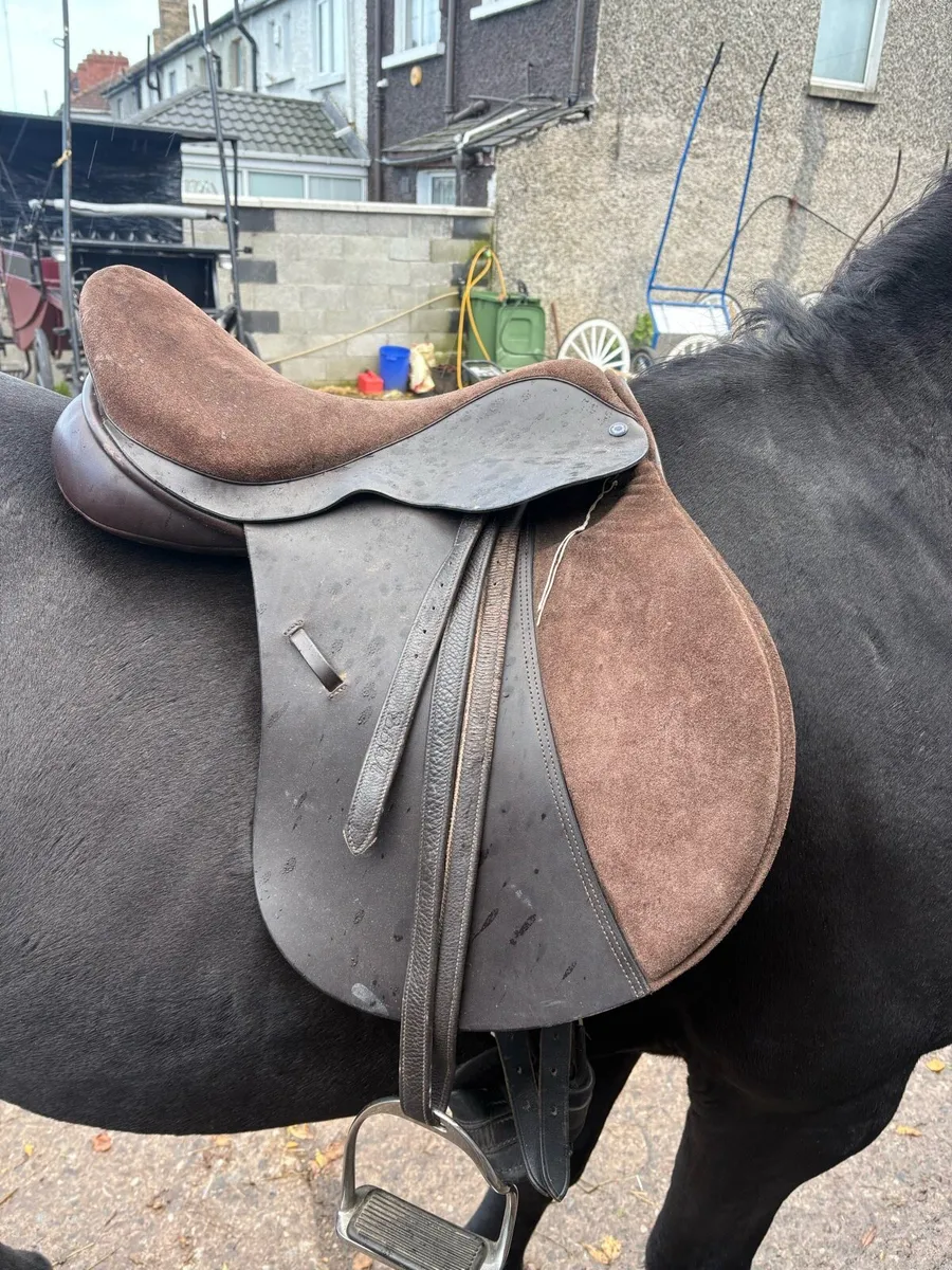 Saddle Handmade by Martin Wilkinson - Image 1