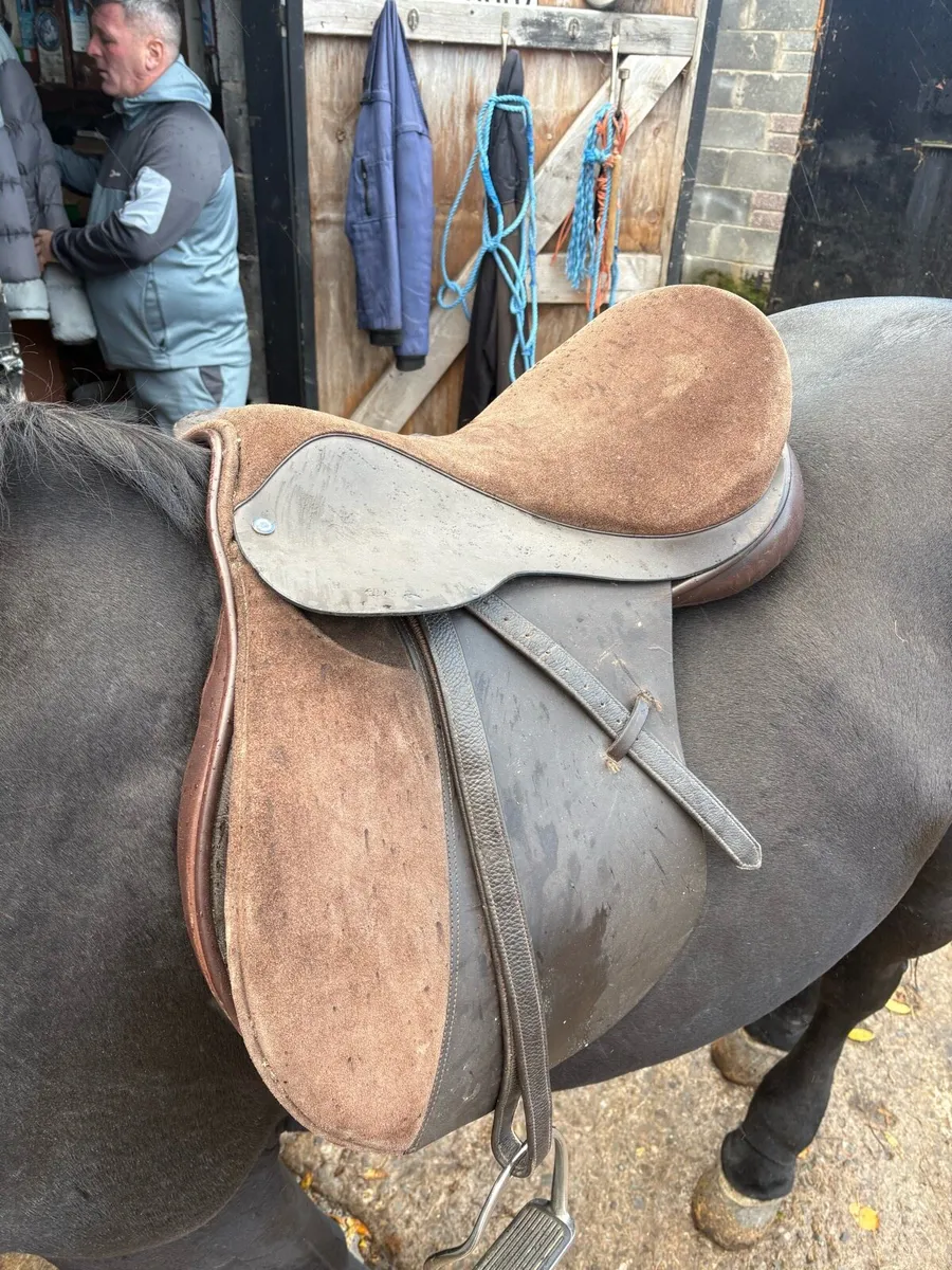 Saddle Handmade by Martin Wilkinson - Image 2