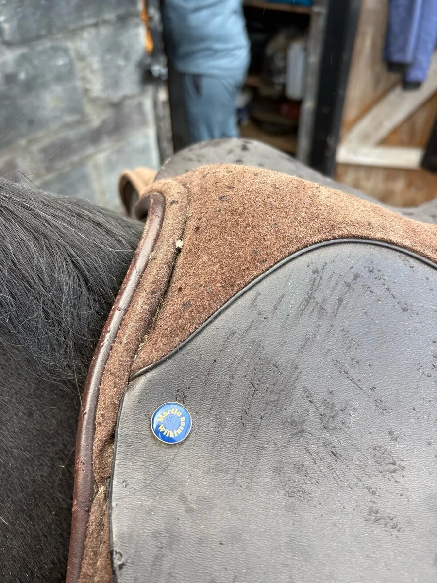 Saddle Handmade by Martin Wilkinson - Image 4