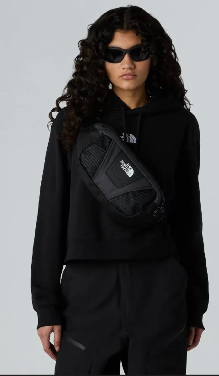 Y2K The North Face Bum Bag - Image 1