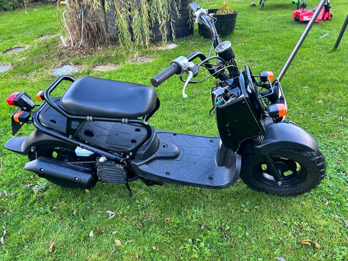 2006 Honda Zoomer project - Image 4