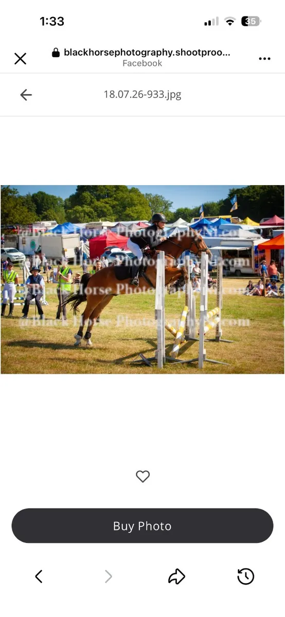 pony - Image 1