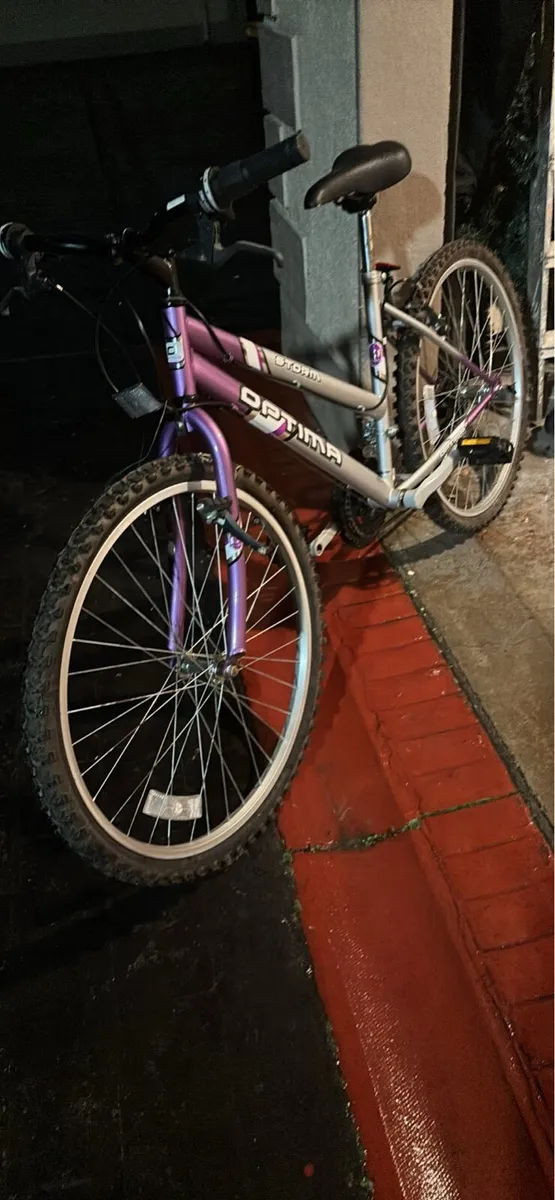 Bicycle - Image 1