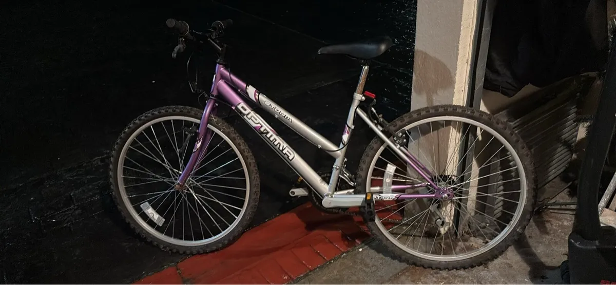 Bicycle - Image 2