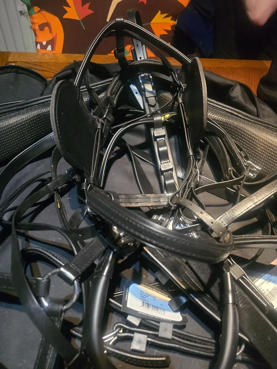 New Pair pony harness - Image 4
