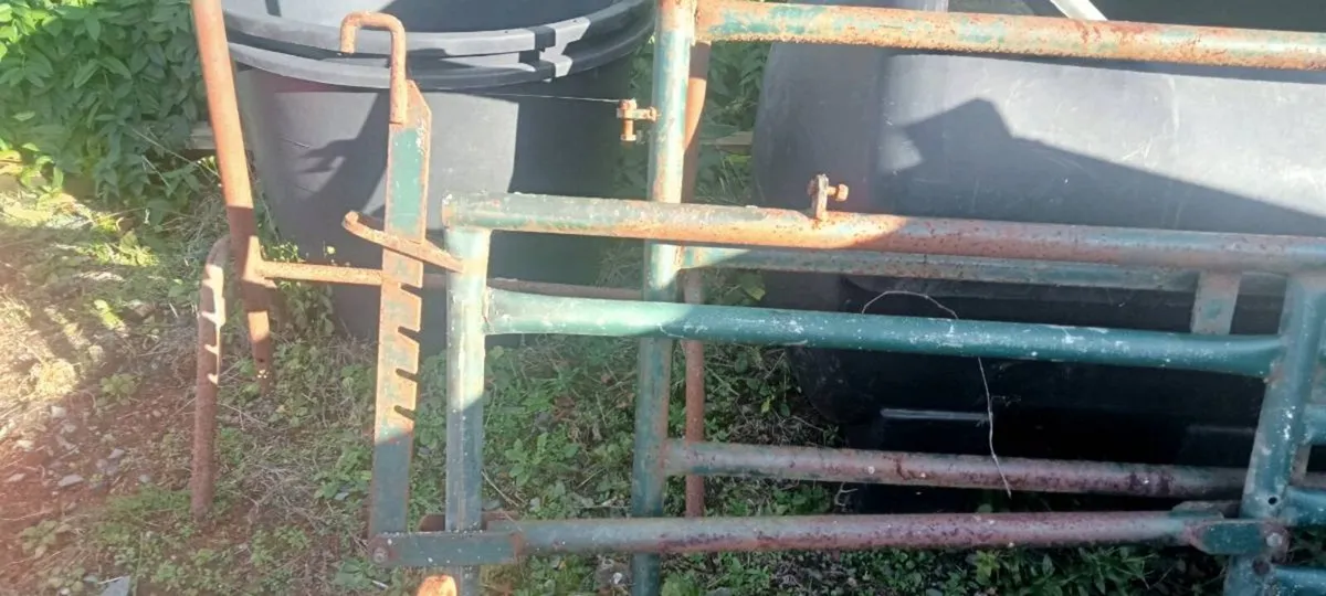 Crush gate - Image 2