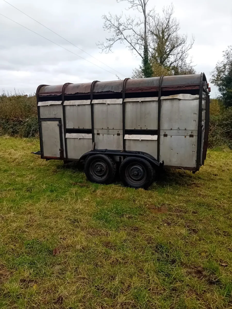 Trailer - Image 4