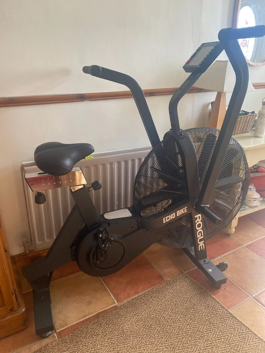 Rogue Echo Bike / Assault Air Bike / Exercise Bike - Image 1
