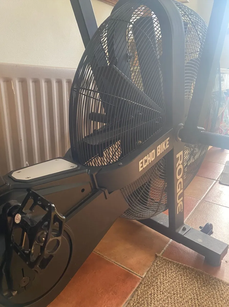 Rogue Echo Bike / Assault Air Bike / Exercise Bike - Image 2