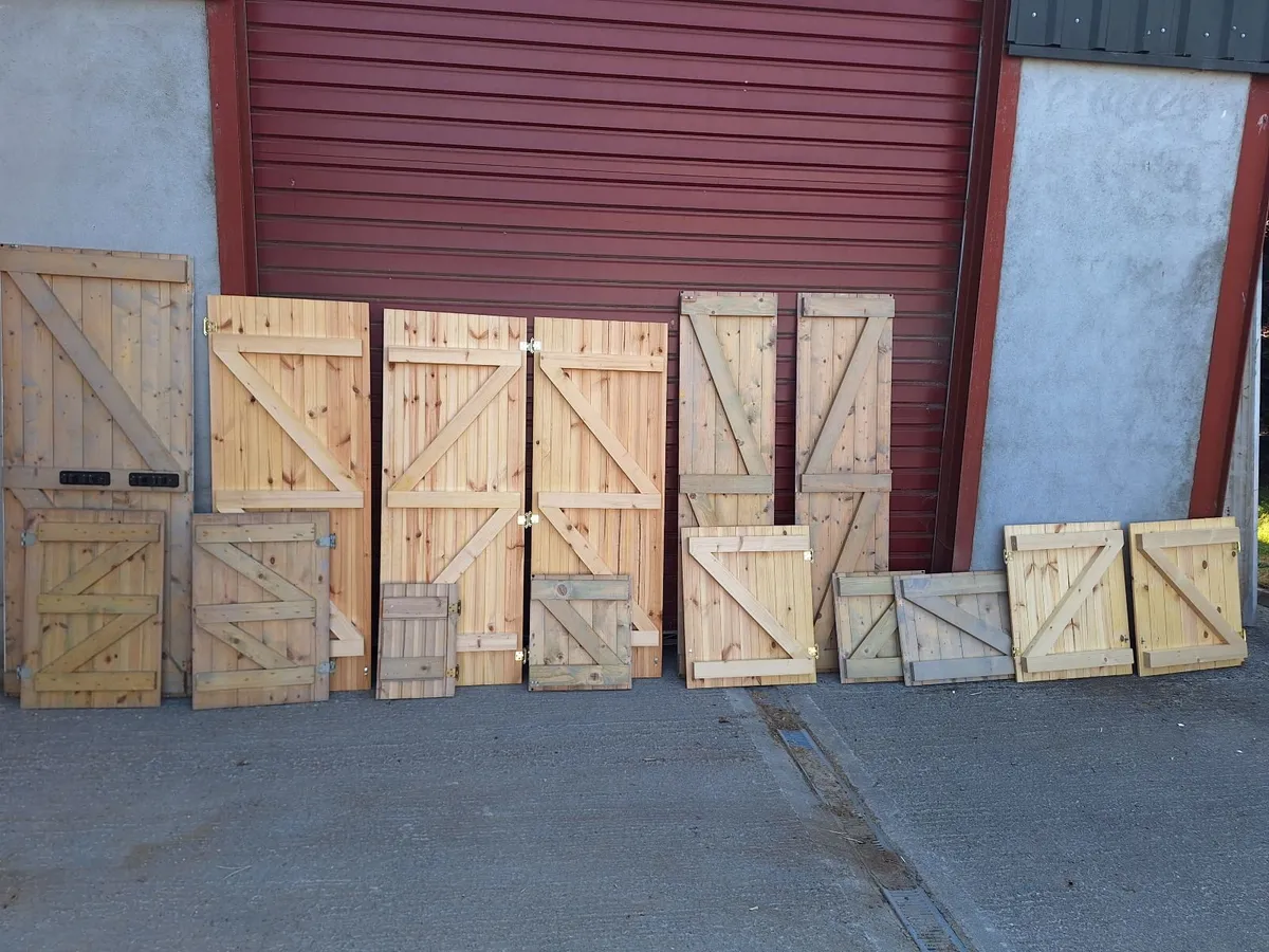 Pine sheeted Doors - Image 3