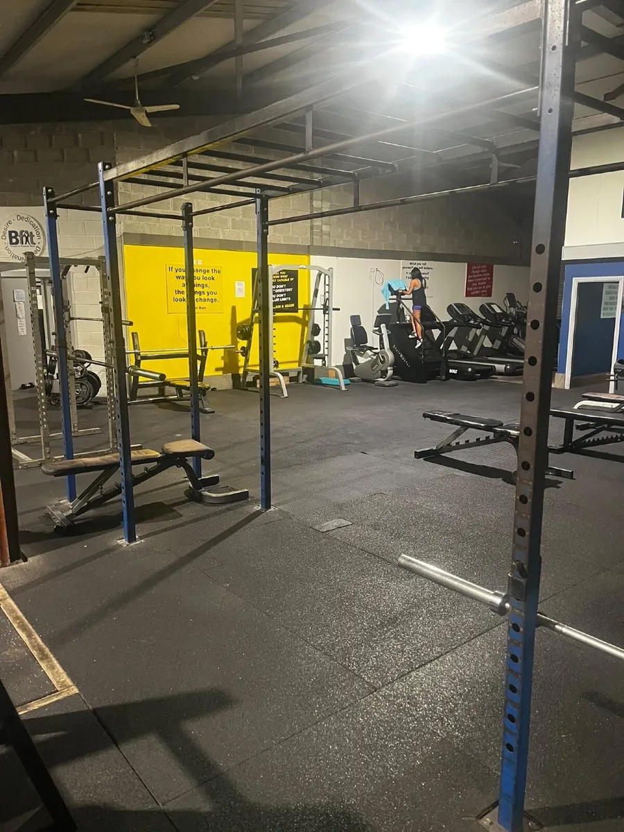 Gym rig/squat rack with monkey bars - Image 2
