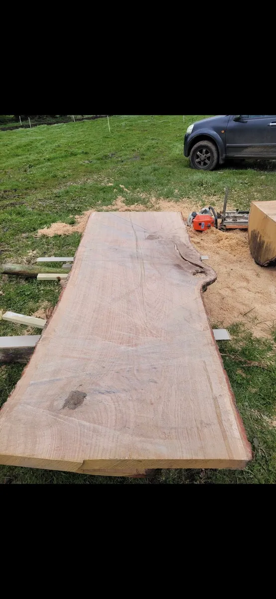 Oak slab - Image 2