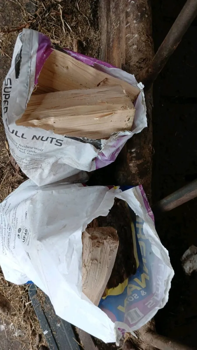Kindling + timber - Image 3