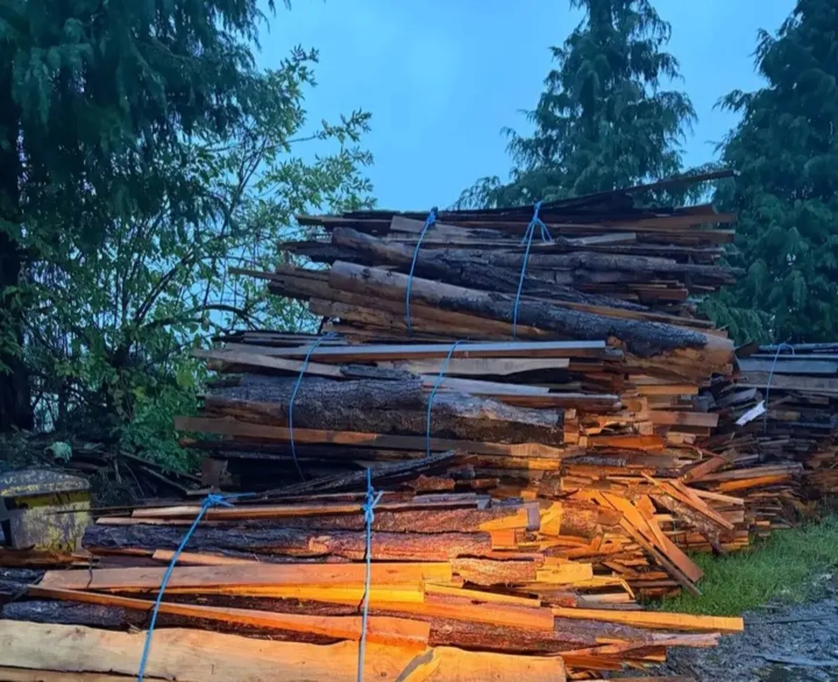 Fire wood - Image 2