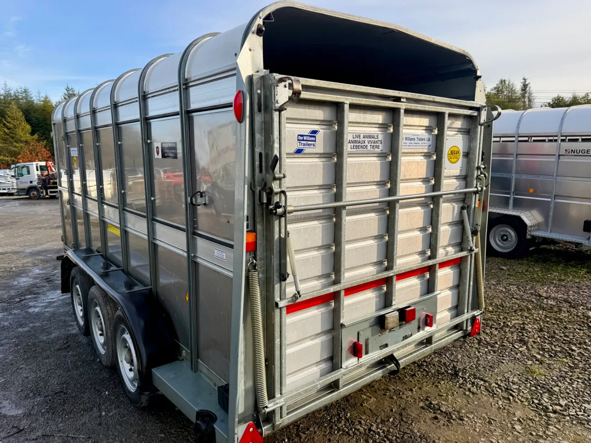 Ifor Williams sheep trailer - Image 3