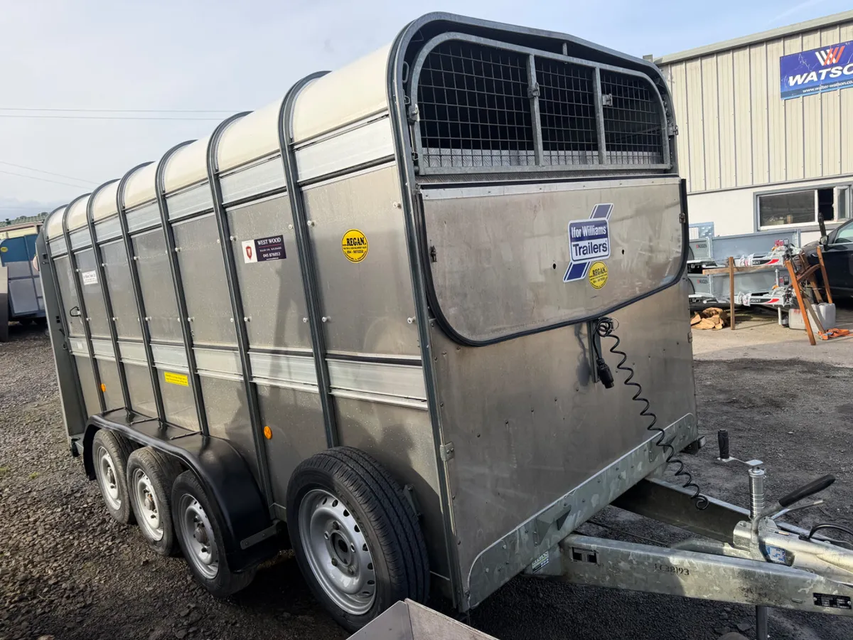 Ifor Williams sheep trailer - Image 2