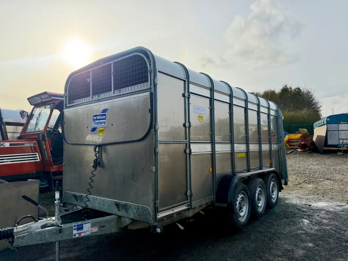 Ifor Williams sheep trailer - Image 1