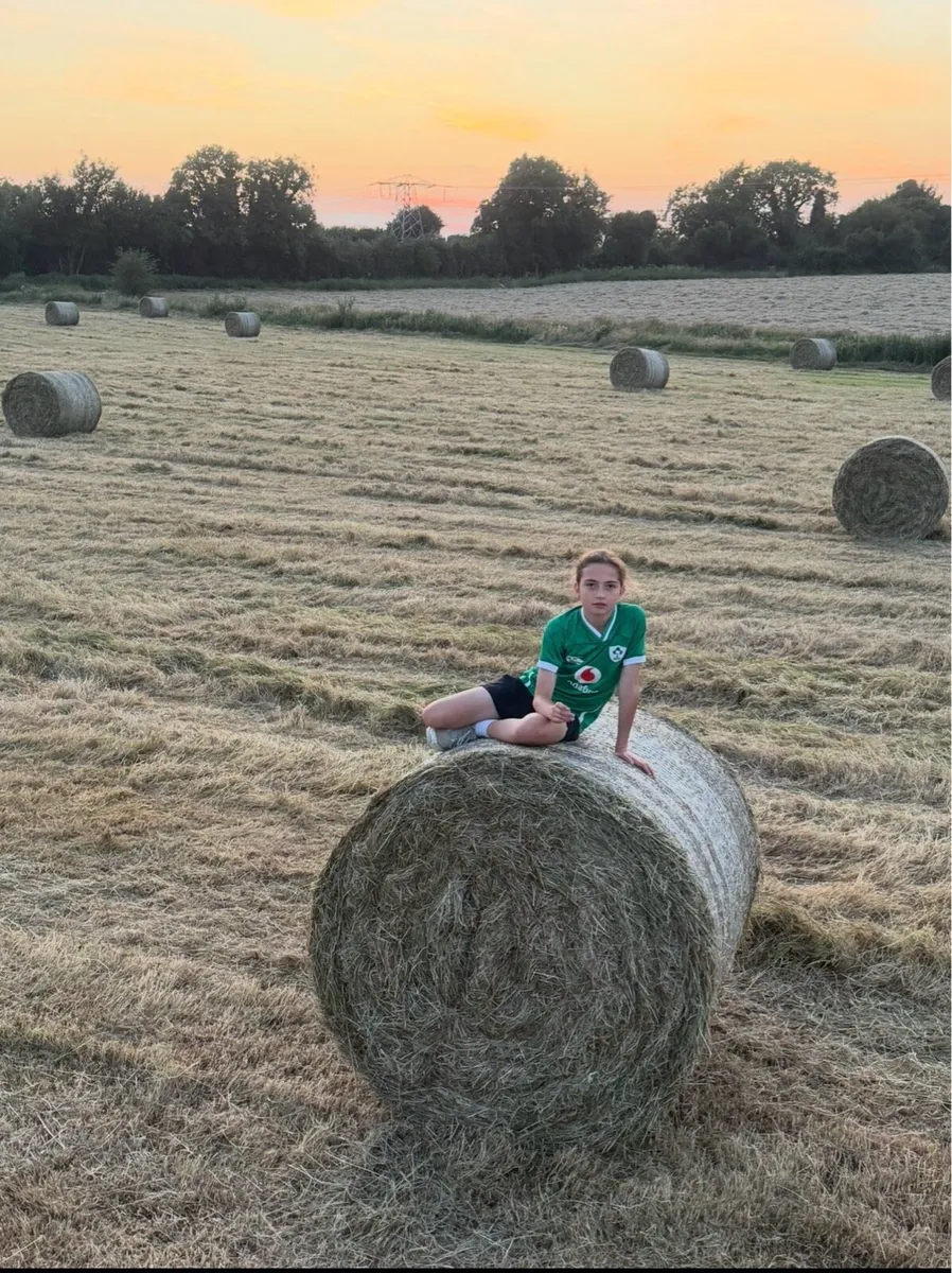 Top Quality Horse Hay 2026 - Image 1