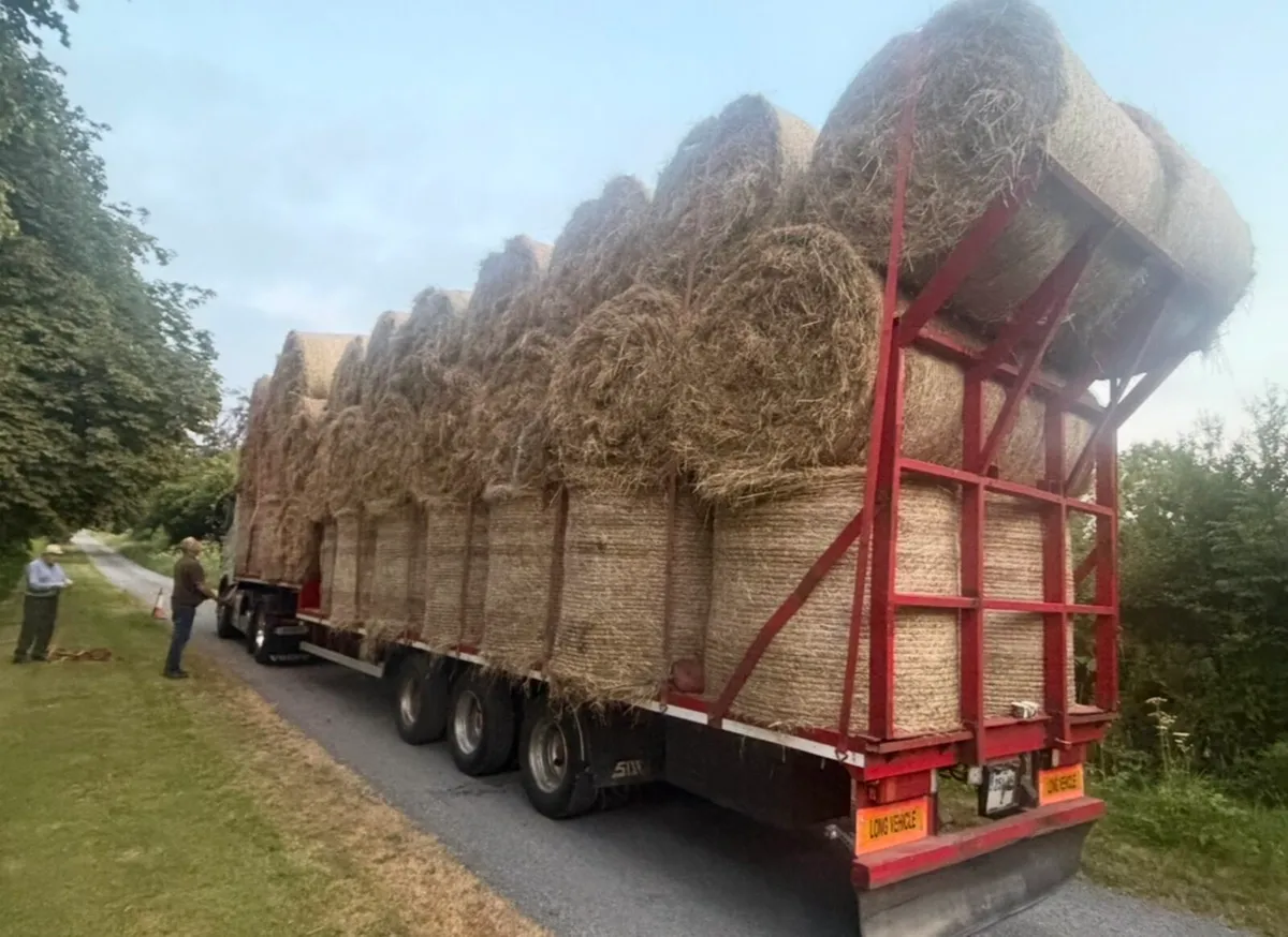 Top Quality Horse Hay 2026 - Image 2