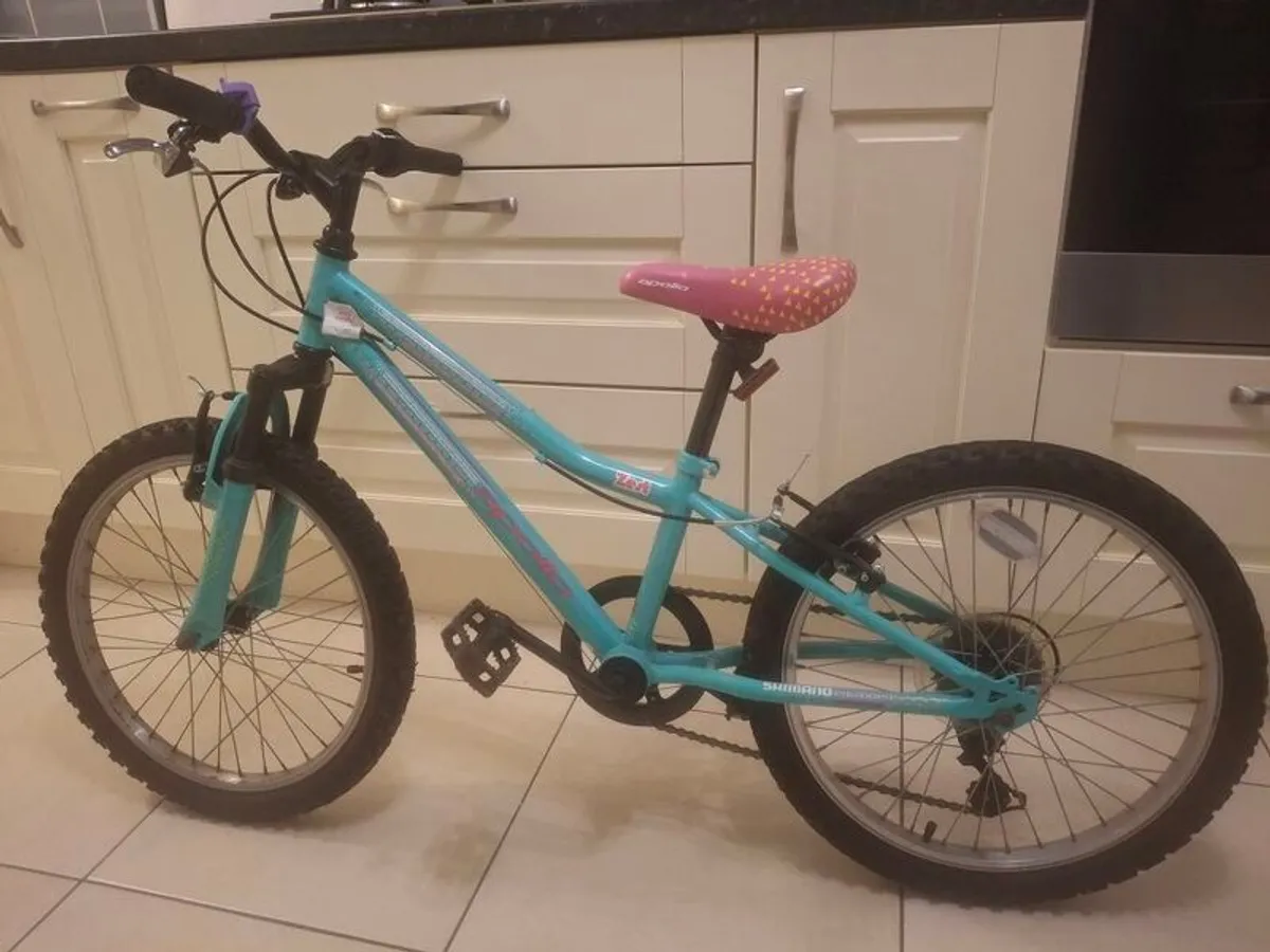 20" kids mountain bike