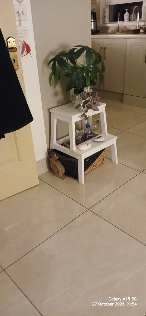 Timber steps