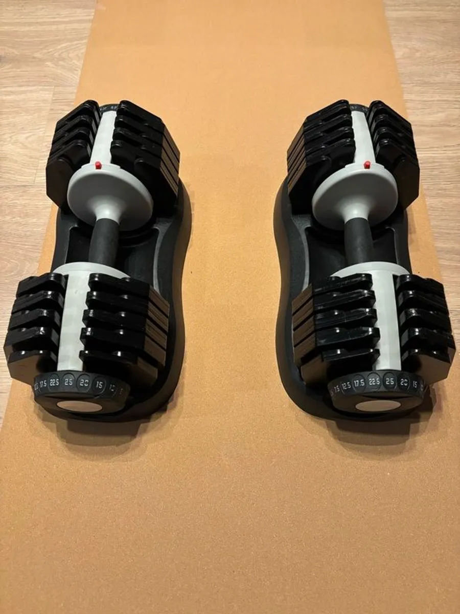 Adjustable Bench & Dumbells - Image 2