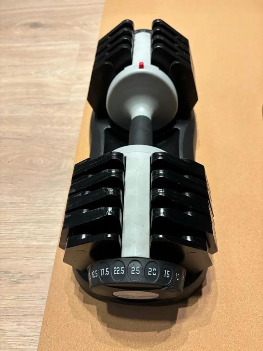 Adjustable Bench & Dumbells - Image 3