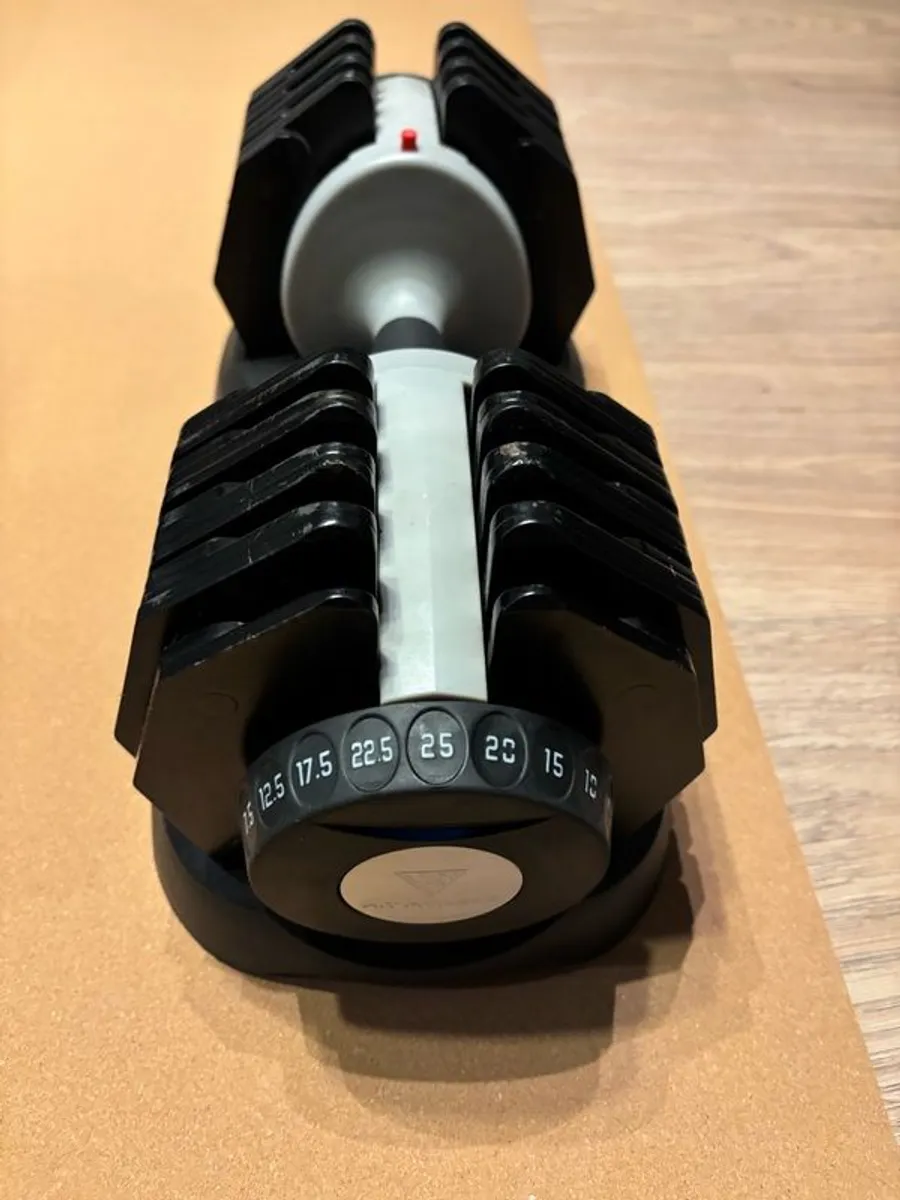 Adjustable Bench & Dumbells - Image 4