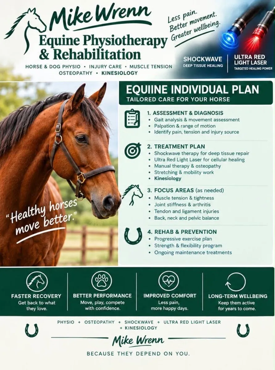 Equine & Canine Therapy - Image 2