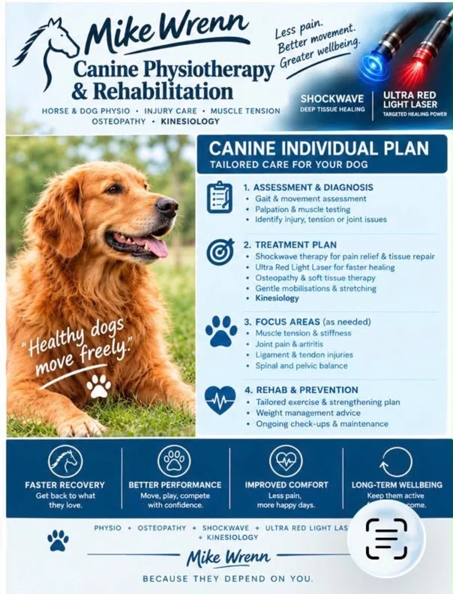 Equine & Canine Therapy - Image 3