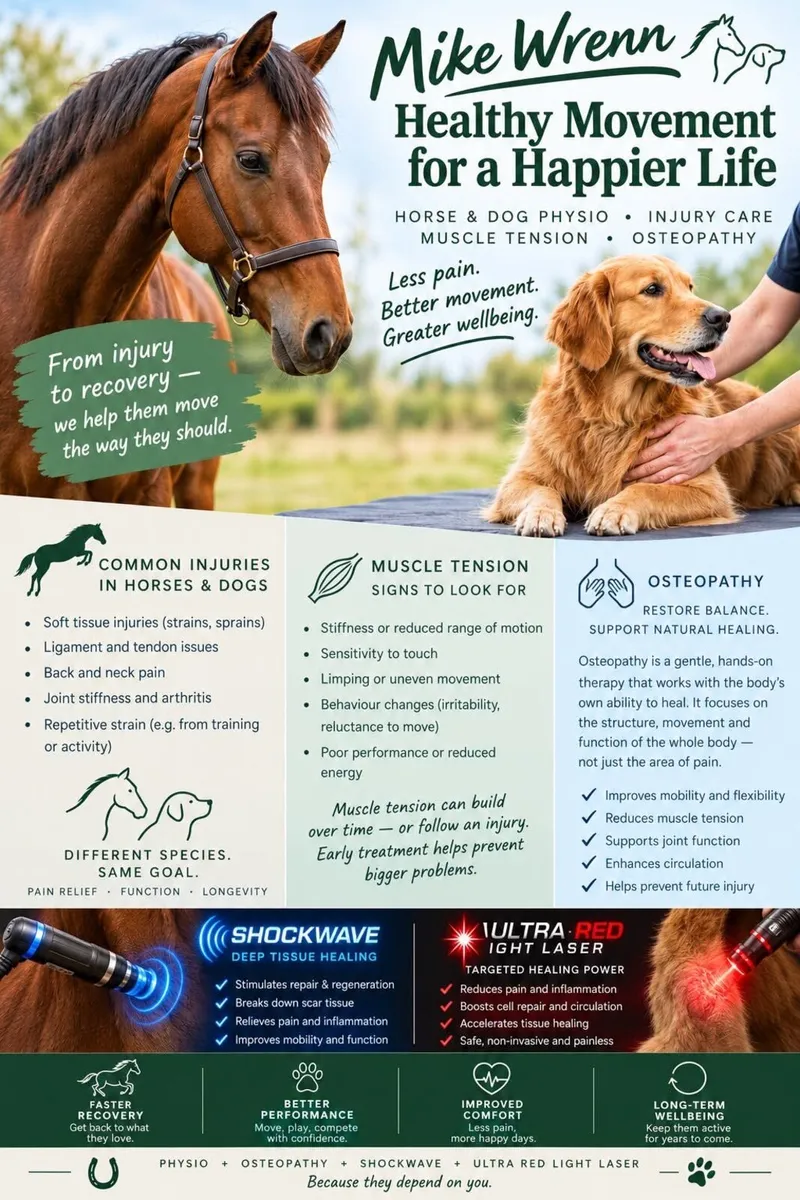 Equine & Canine Therapy - Image 4