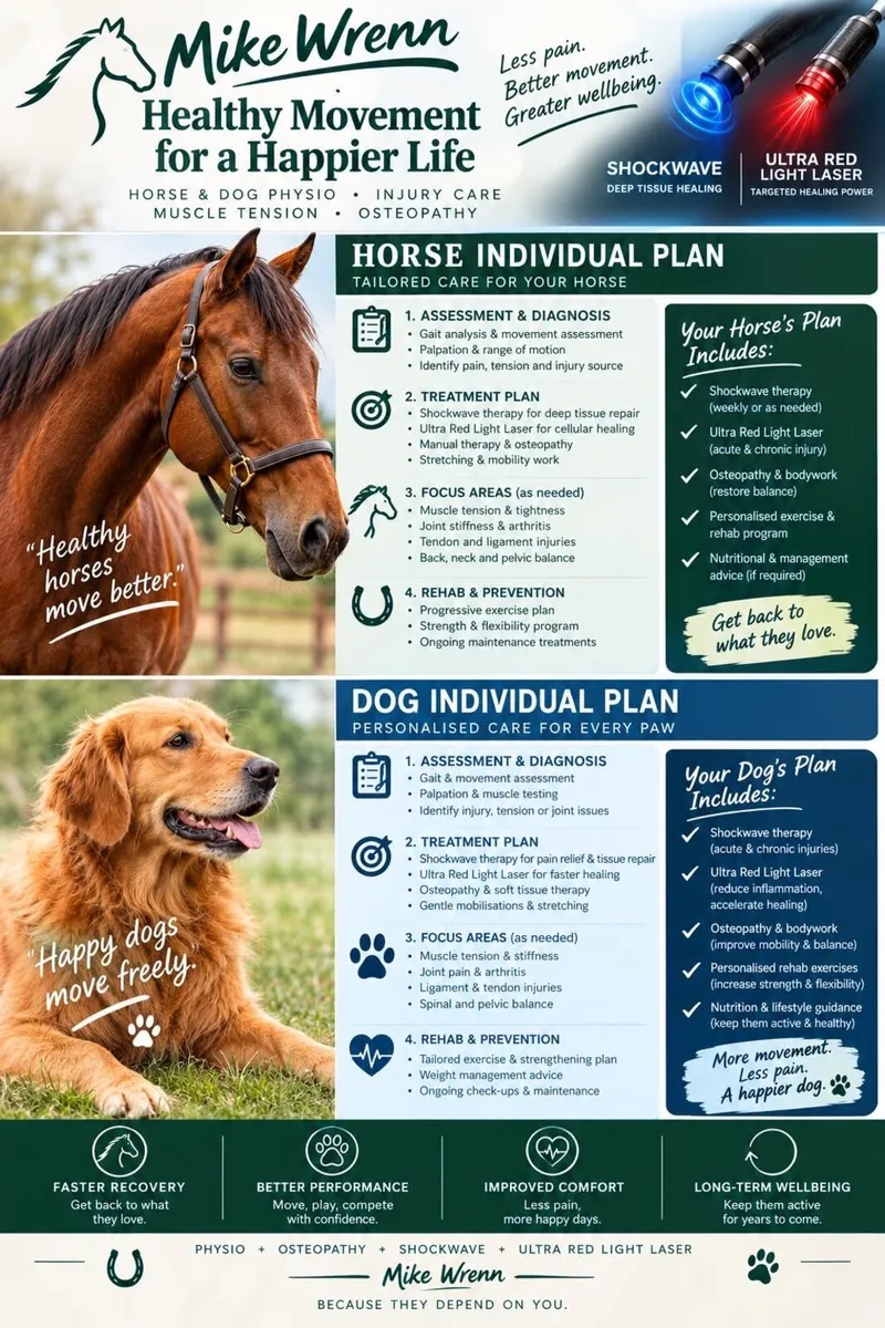 Equine & Canine Therapy - Image 1