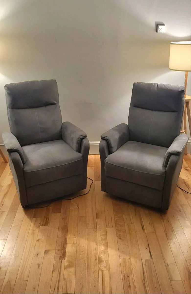 Electric Recliner Lounger - Image 1