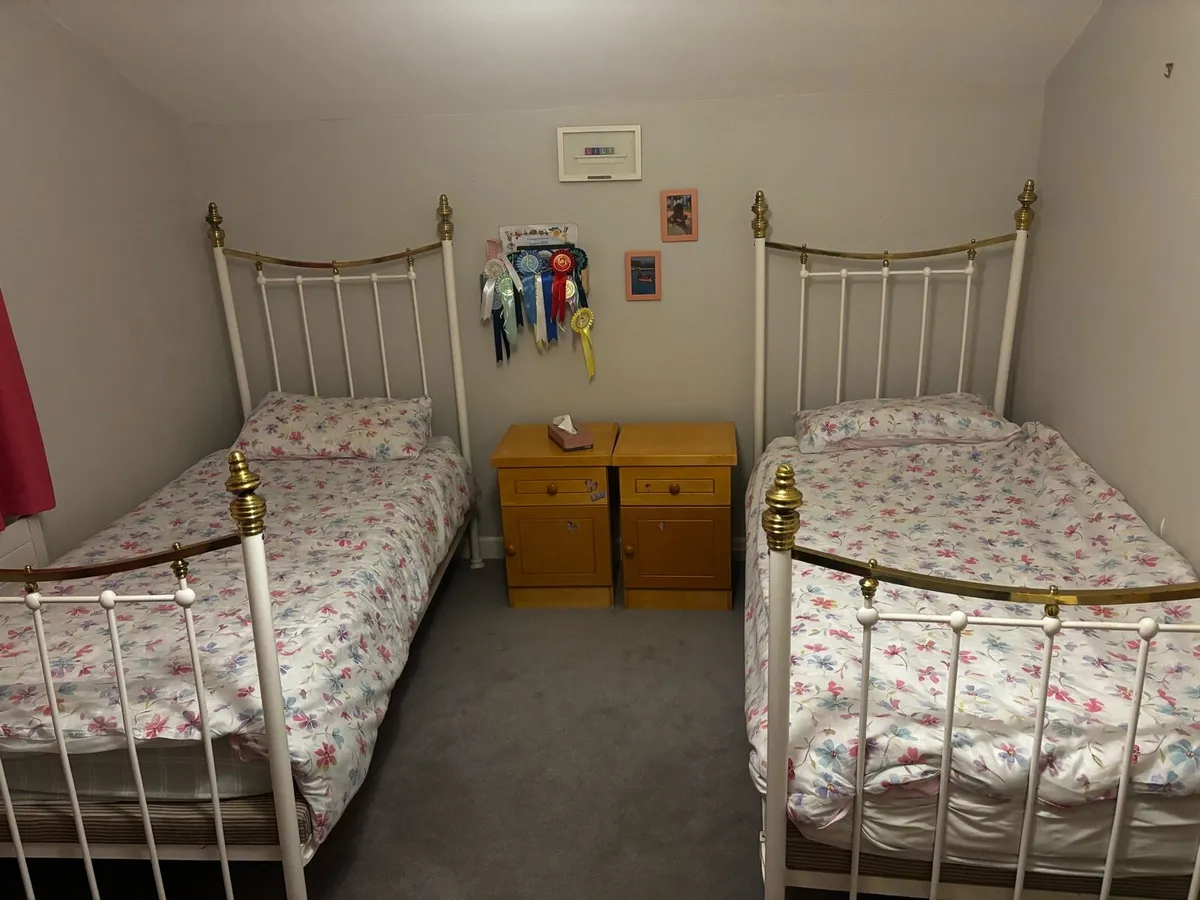 Victorian iron beds single - Image 1