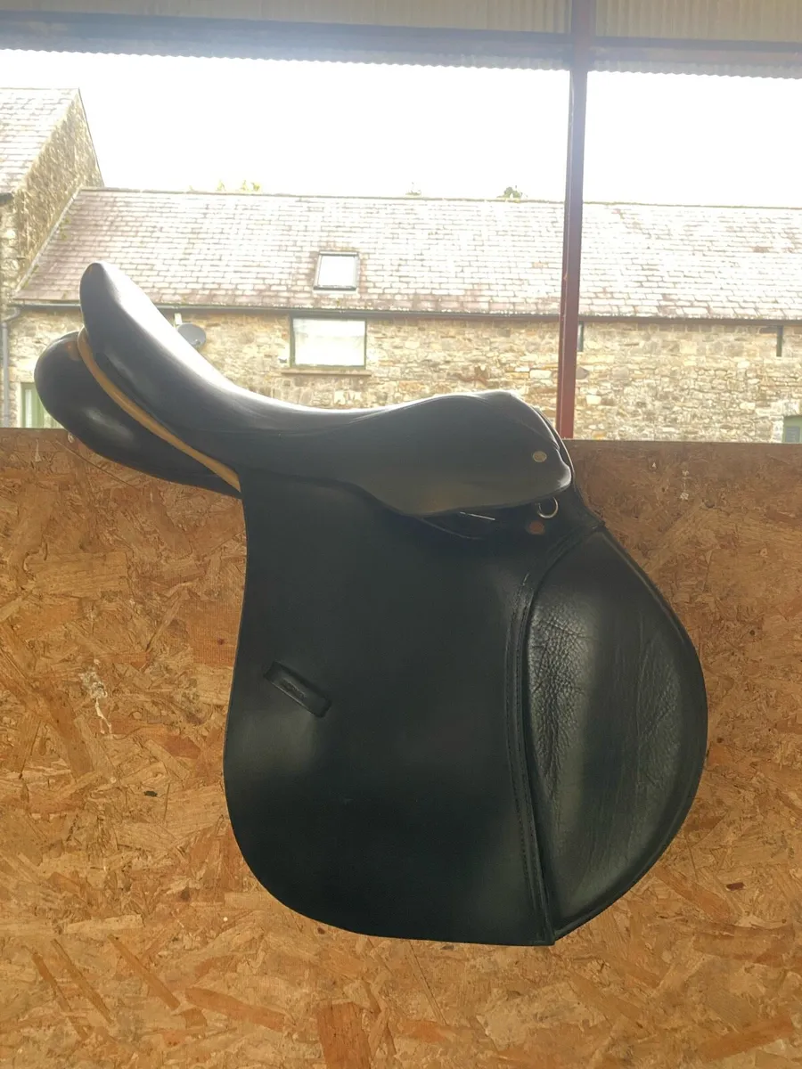 Berneys Saddle - Image 2