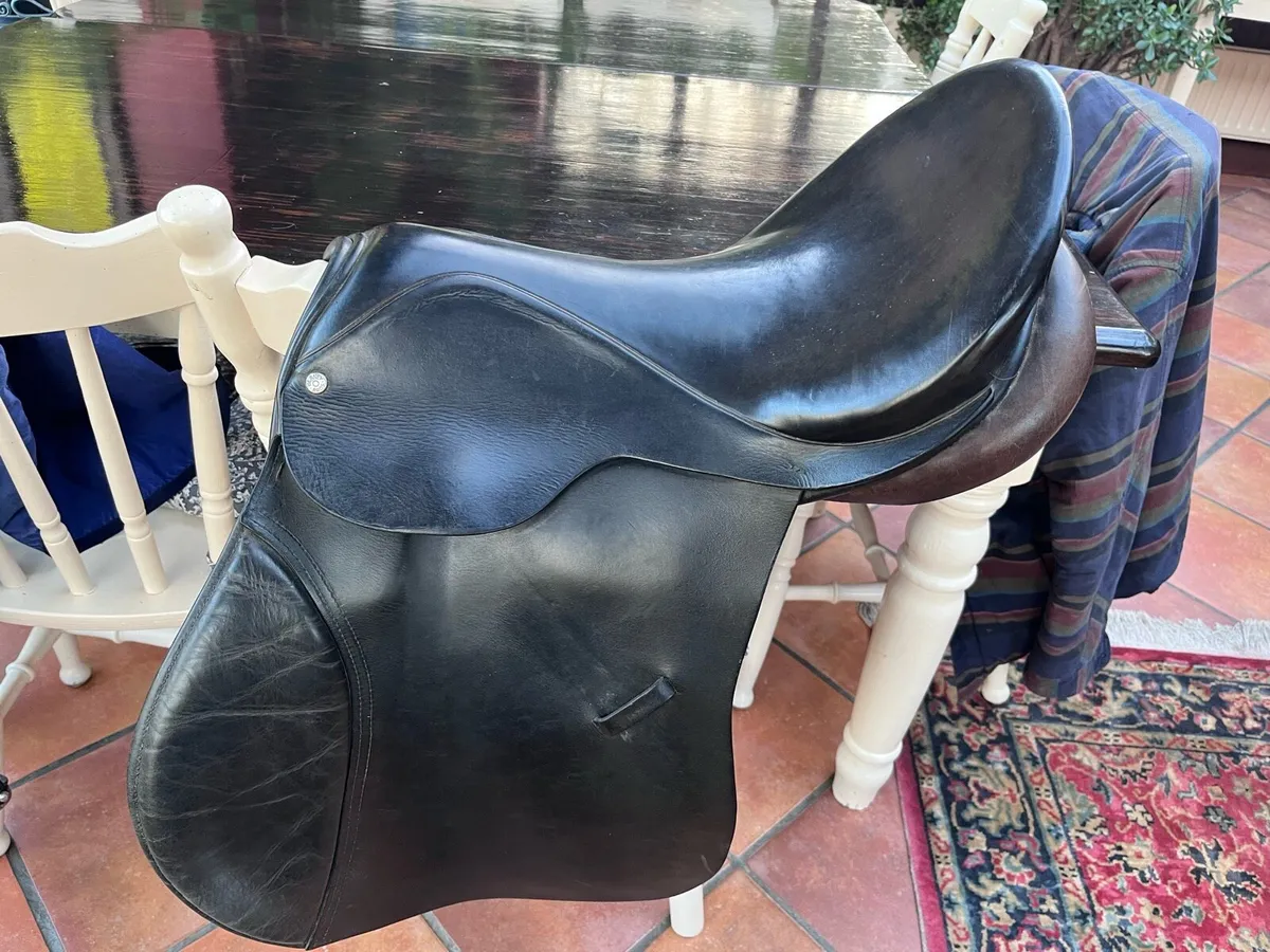2 BERNIE SADDLES - Image 2
